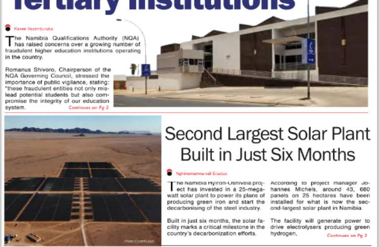 The Villager Feature